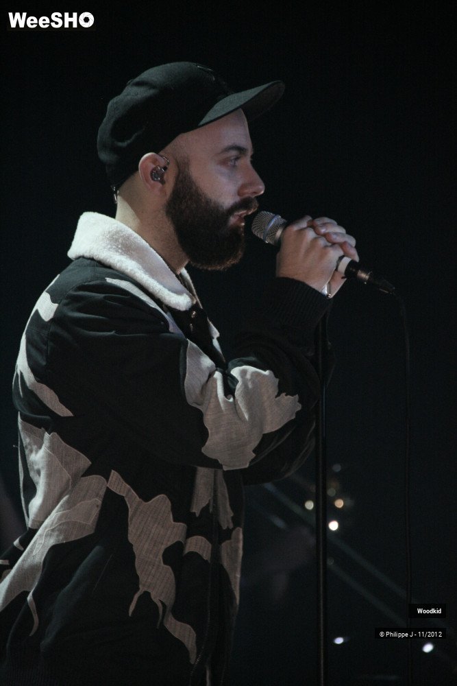 16/17 photos du spectacle Woodkid