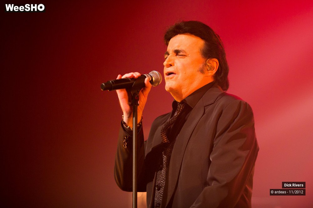 19/46 photos du spectacle Dick Rivers