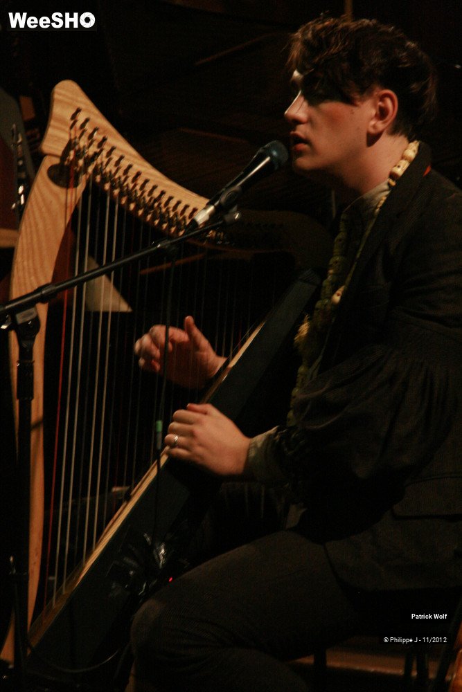 14/18 photos du spectacle Patrick Wolf