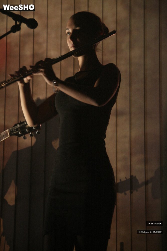 13/20 photos du spectacle Wax Tailor and the dusty rainbow experience