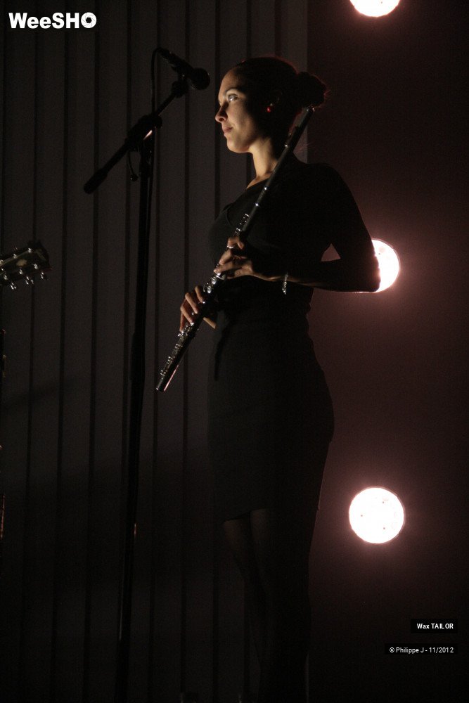 14/20 photos du spectacle Wax Tailor and the dusty rainbow experience