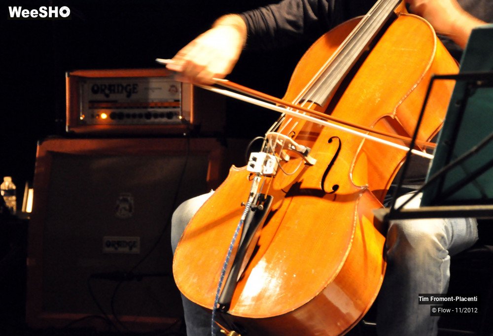 24/39 photos du spectacle Tim Fromont Placenti