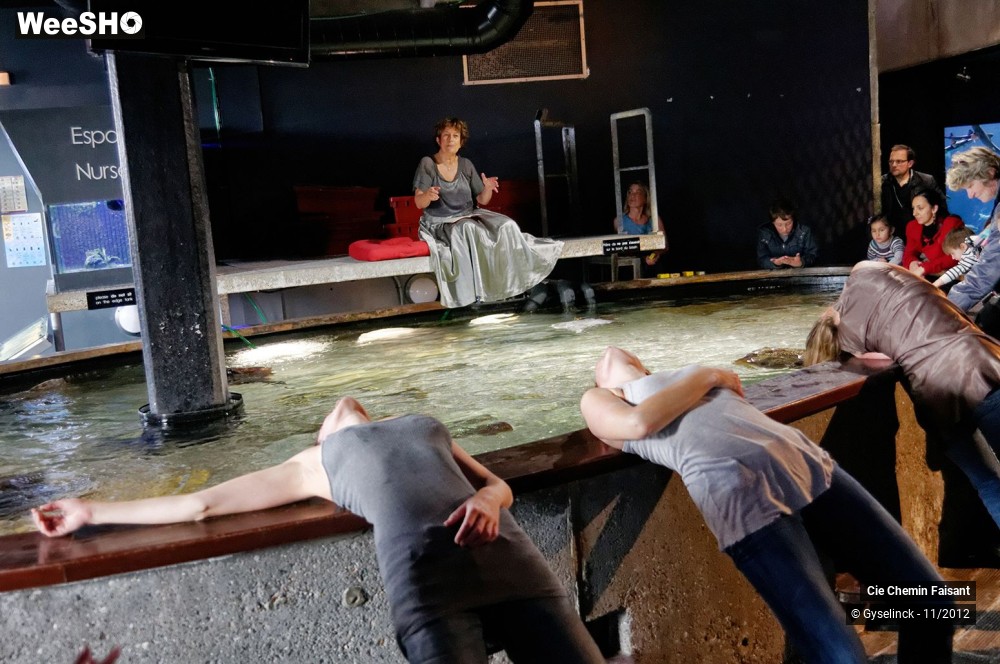 2/35 photos du spectacle Sardines à l'huile et poissons dans l'eau