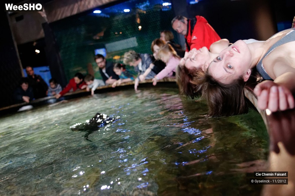 10/35 photos du spectacle Sardines à l'huile et poissons dans l'eau