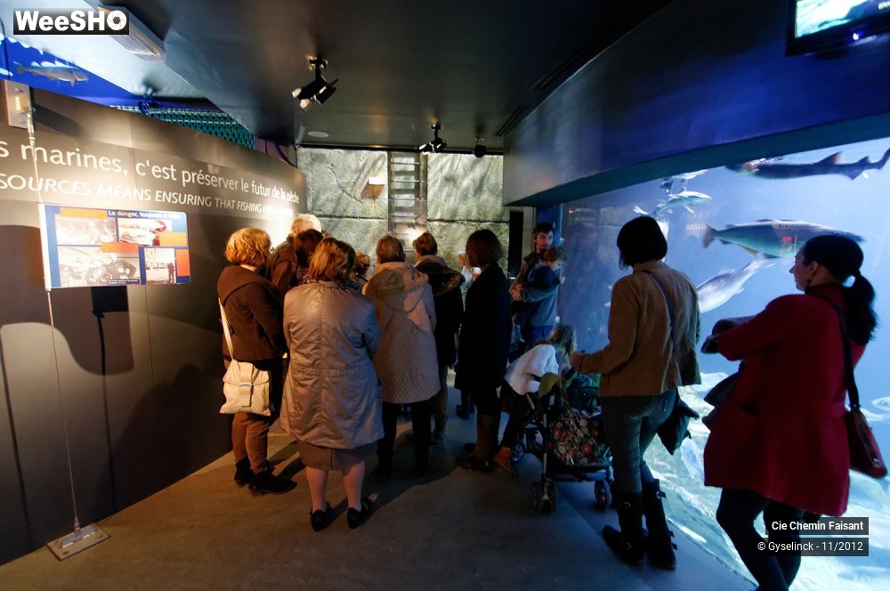 13/35 photos du spectacle Sardines à l'huile et poissons dans l'eau