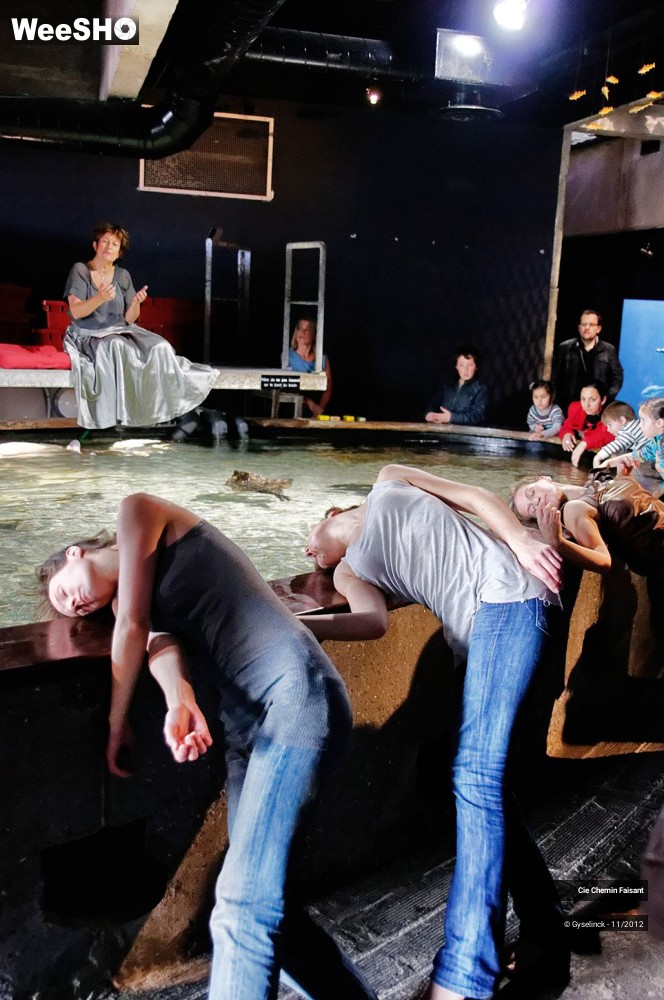 17/35 photos du spectacle Sardines à l'huile et poissons dans l'eau