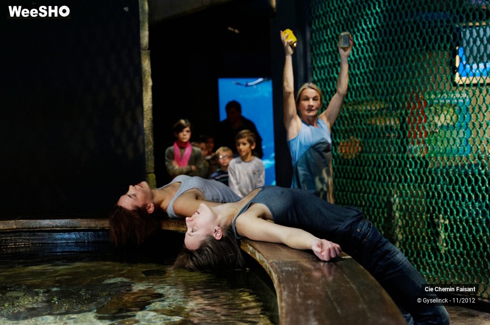 18/35 photos du spectacle Sardines à l'huile et poissons dans l'eau
