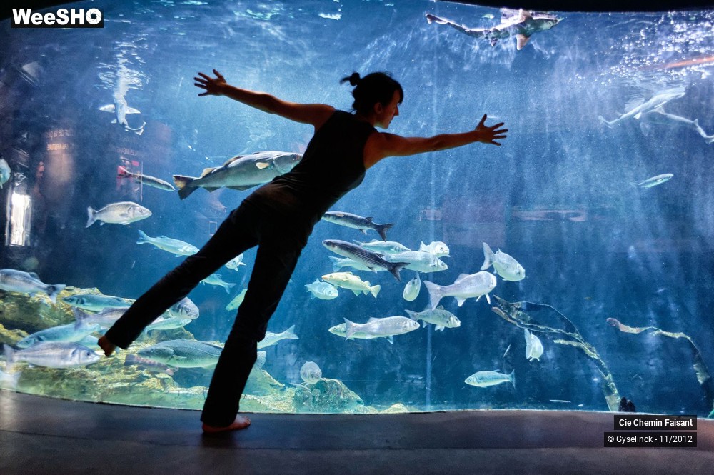 21/35 photos du spectacle Sardines à l'huile et poissons dans l'eau