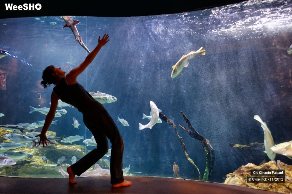 26/35 photos du spectacle Sardines à l'huile et poissons dans l'eau