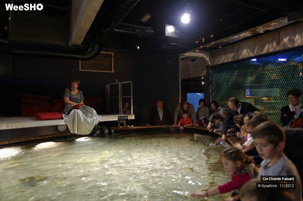 34/35 photos du spectacle Sardines à l'huile et poissons dans l'eau