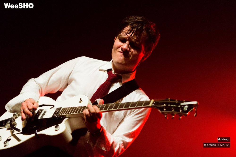 2/40 photos du spectacle Mustang