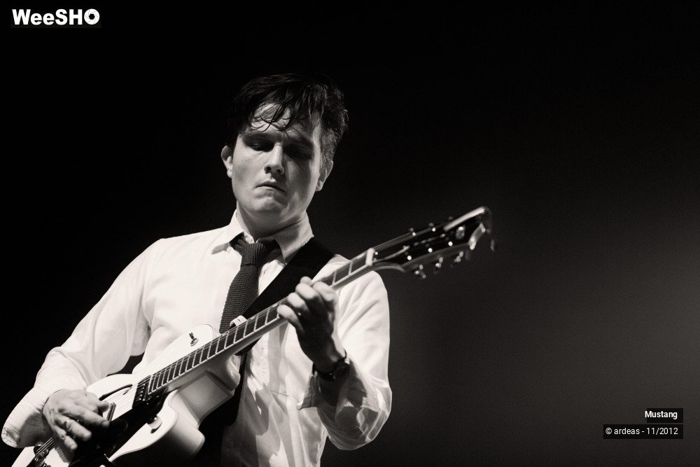 3/40 photos du spectacle Mustang