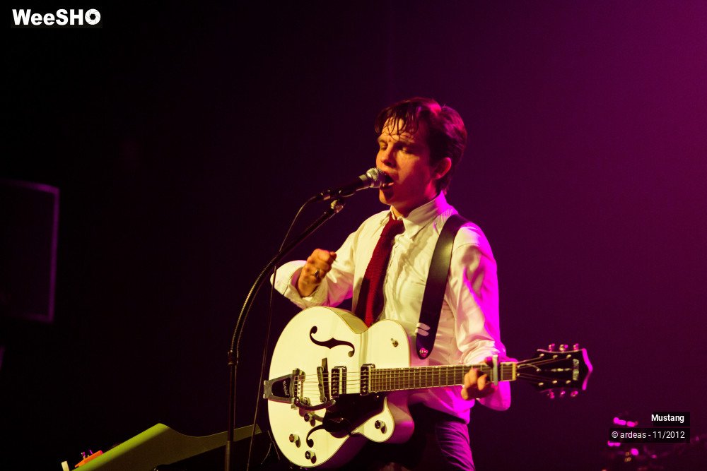 4/40 photos du spectacle Mustang