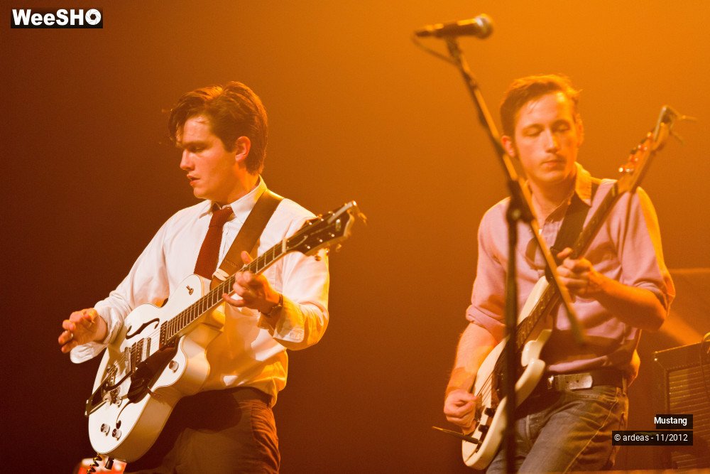 5/40 photos du spectacle Mustang