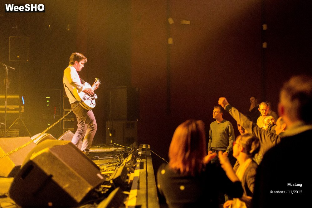 6/40 photos du spectacle Mustang