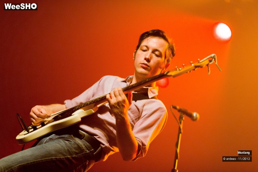 7/40 photos du spectacle Mustang