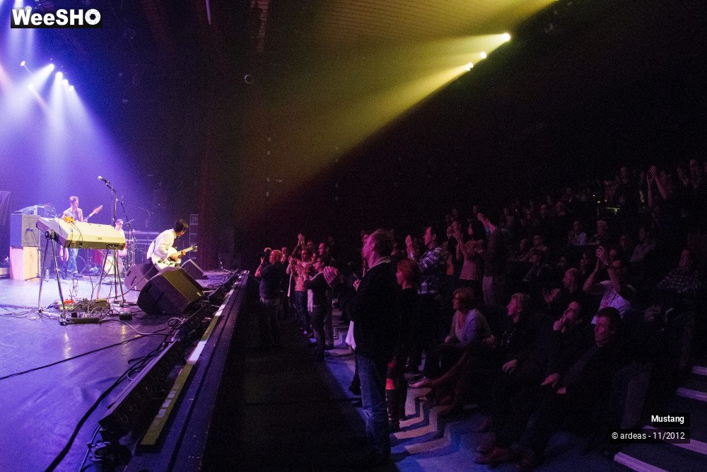 8/40 photos du spectacle Mustang