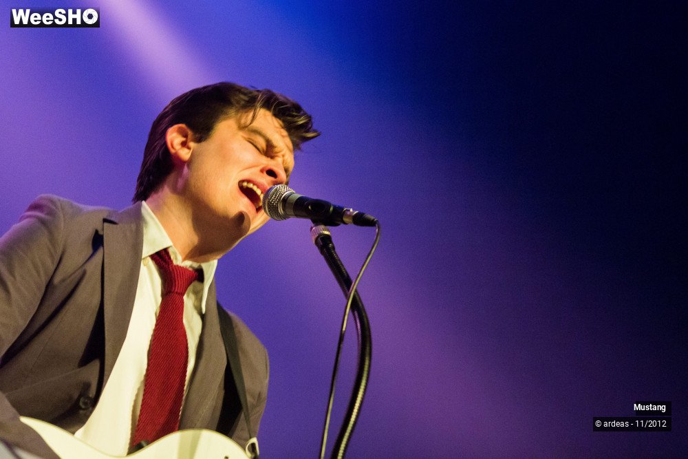 9/40 photos du spectacle Mustang