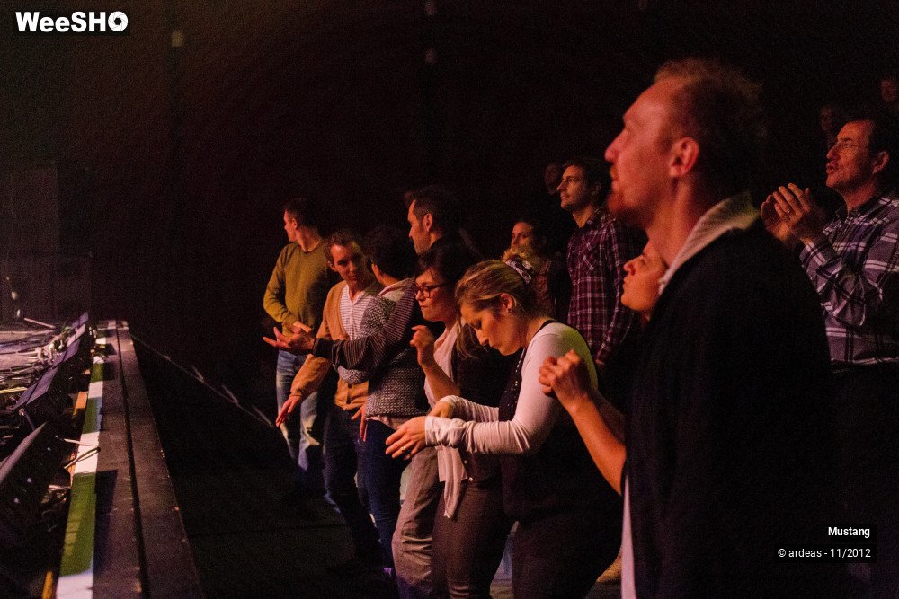 10/40 photos du spectacle Mustang