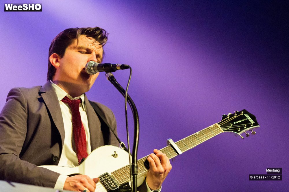 12/40 photos du spectacle Mustang