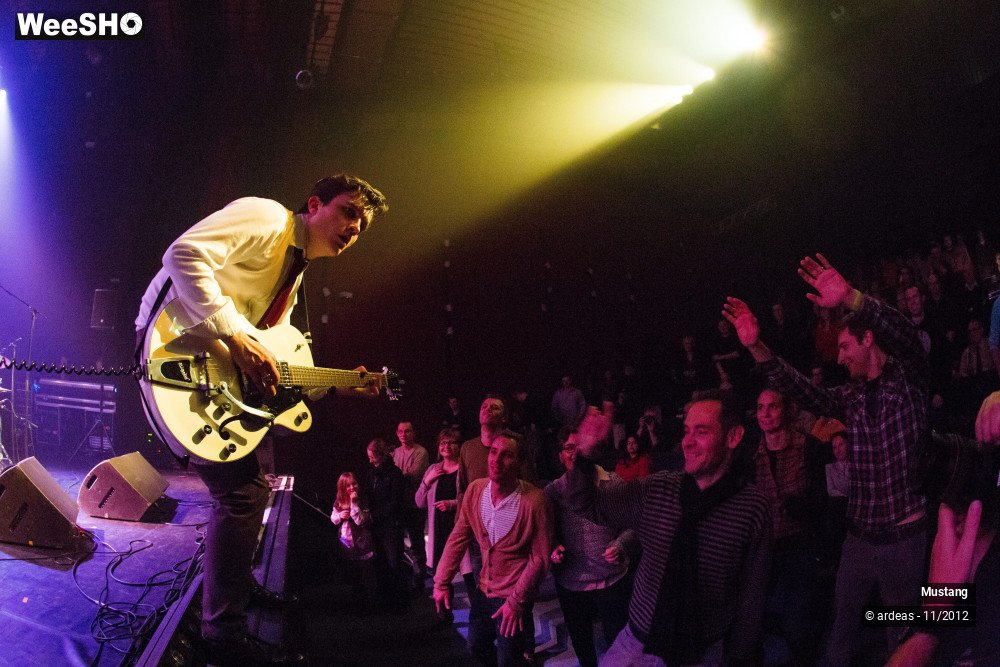 13/40 photos du spectacle Mustang