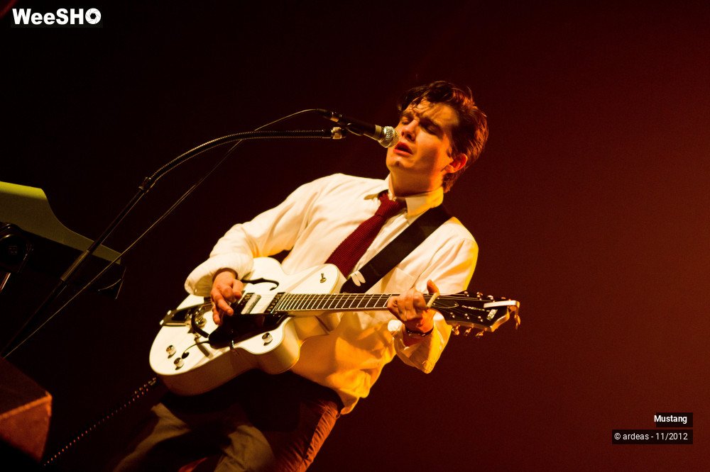 14/40 photos du spectacle Mustang