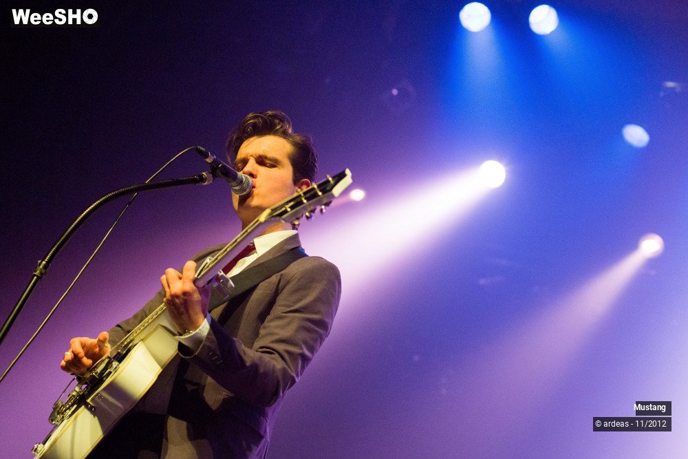 15/40 photos du spectacle Mustang