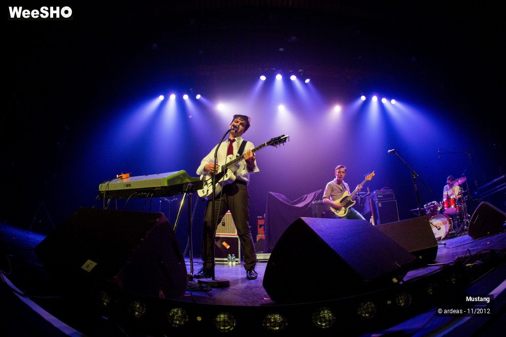 16/40 photos du spectacle Mustang