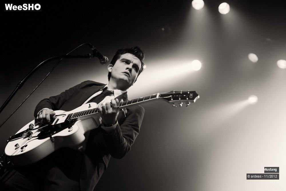 18/40 photos du spectacle Mustang