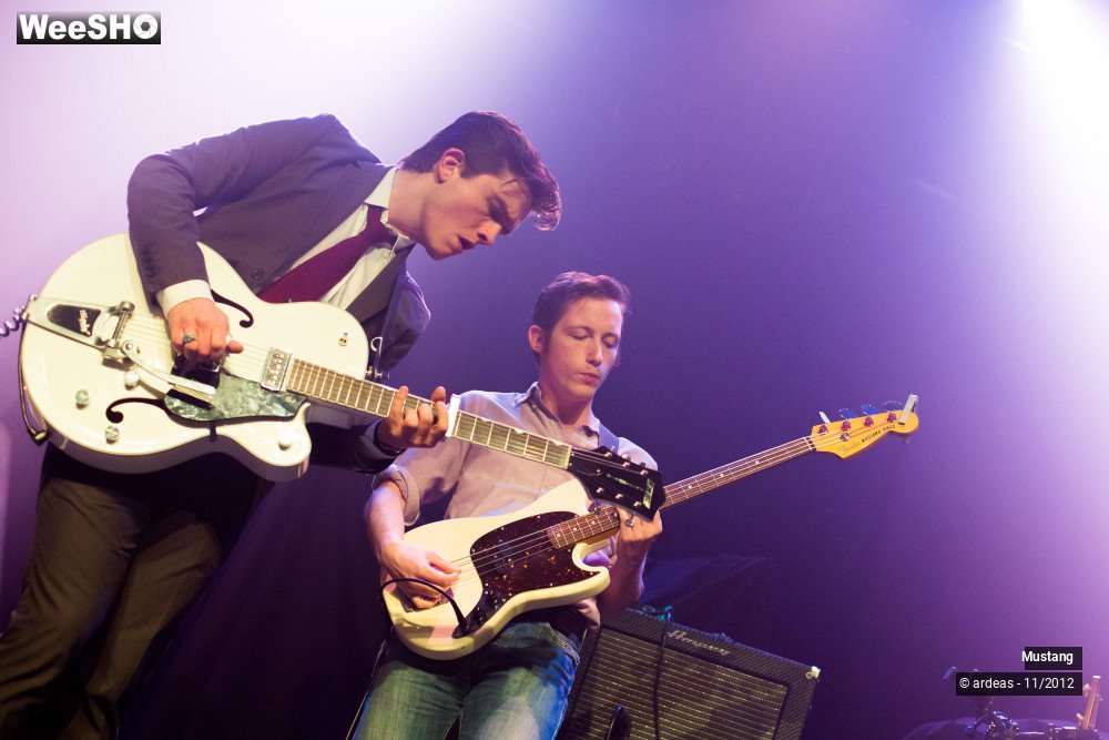 19/40 photos du spectacle Mustang