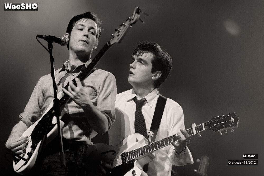 20/40 photos du spectacle Mustang