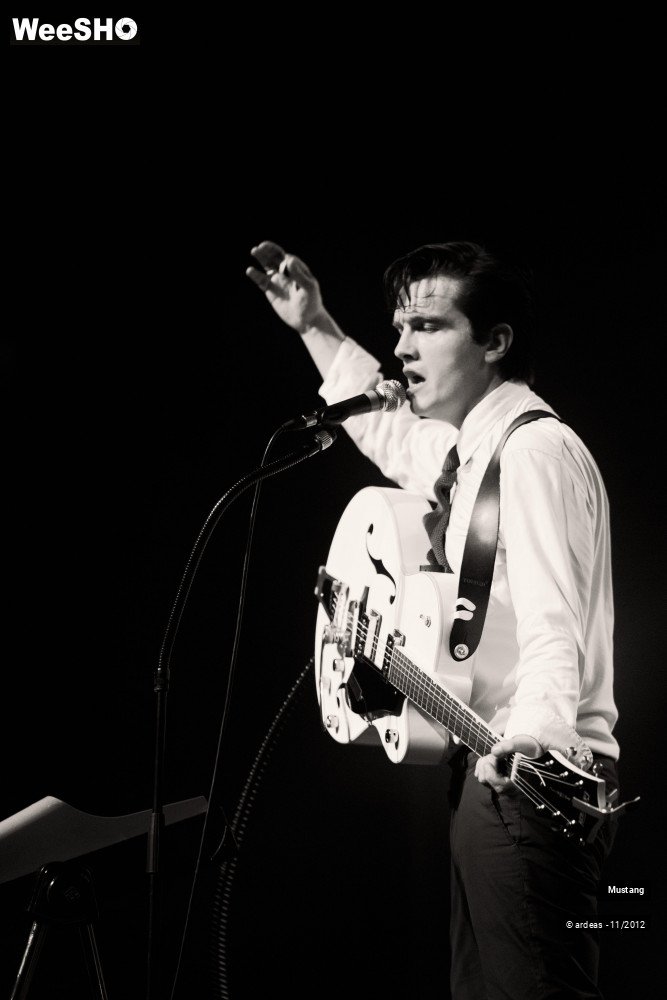 21/40 photos du spectacle Mustang