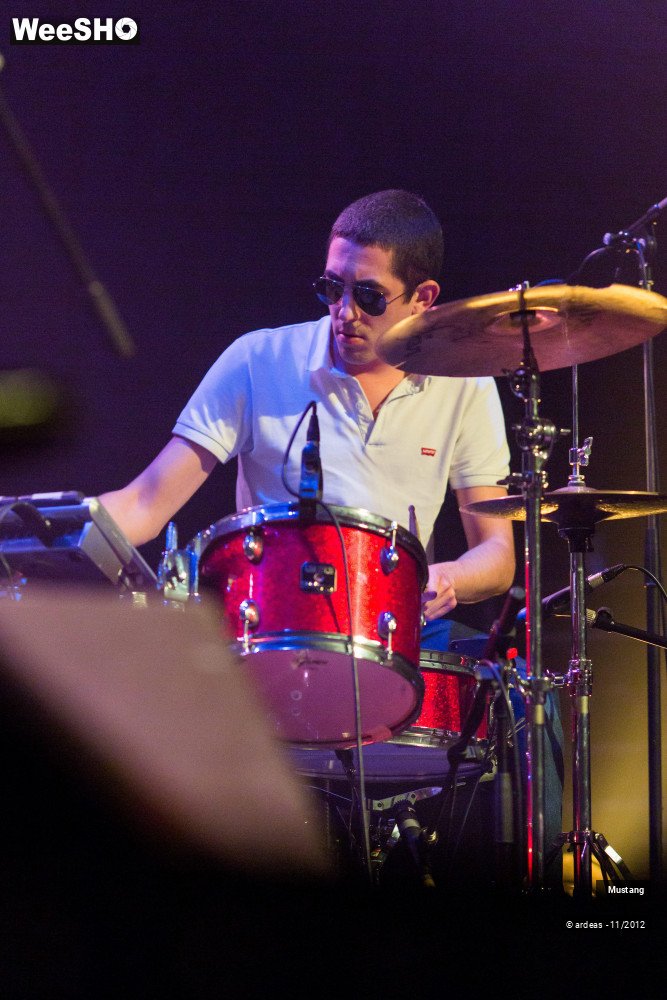 22/40 photos du spectacle Mustang