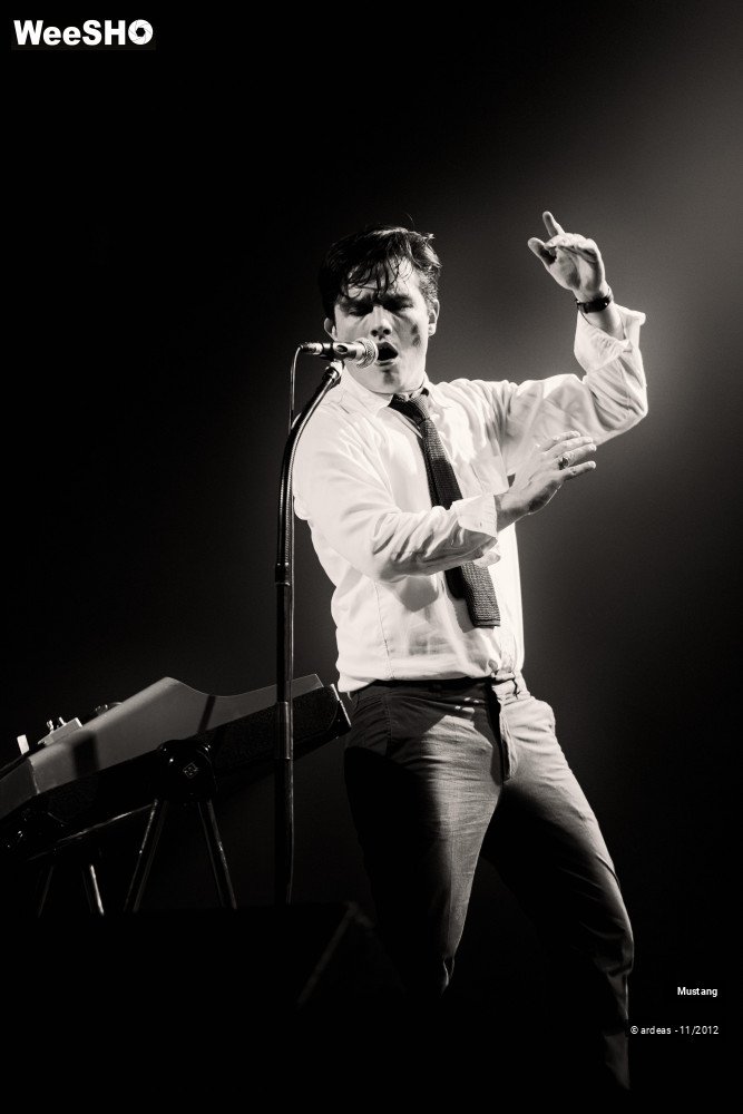 24/40 photos du spectacle Mustang