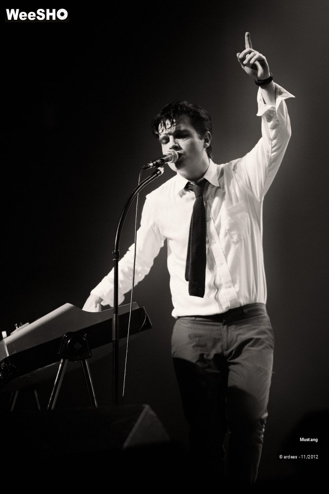 26/40 photos du spectacle Mustang