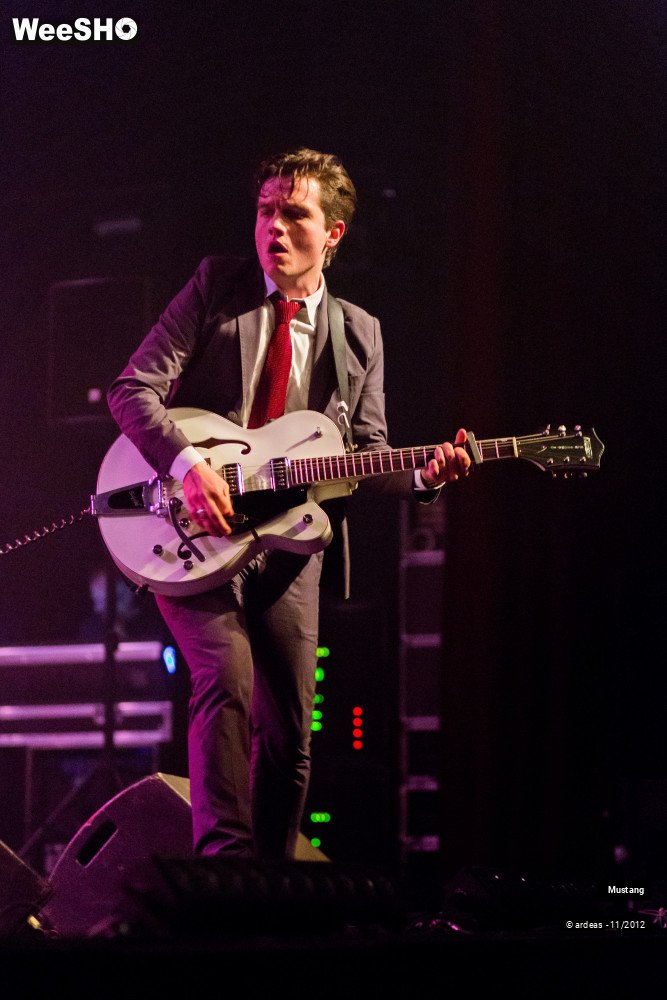 27/40 photos du spectacle Mustang