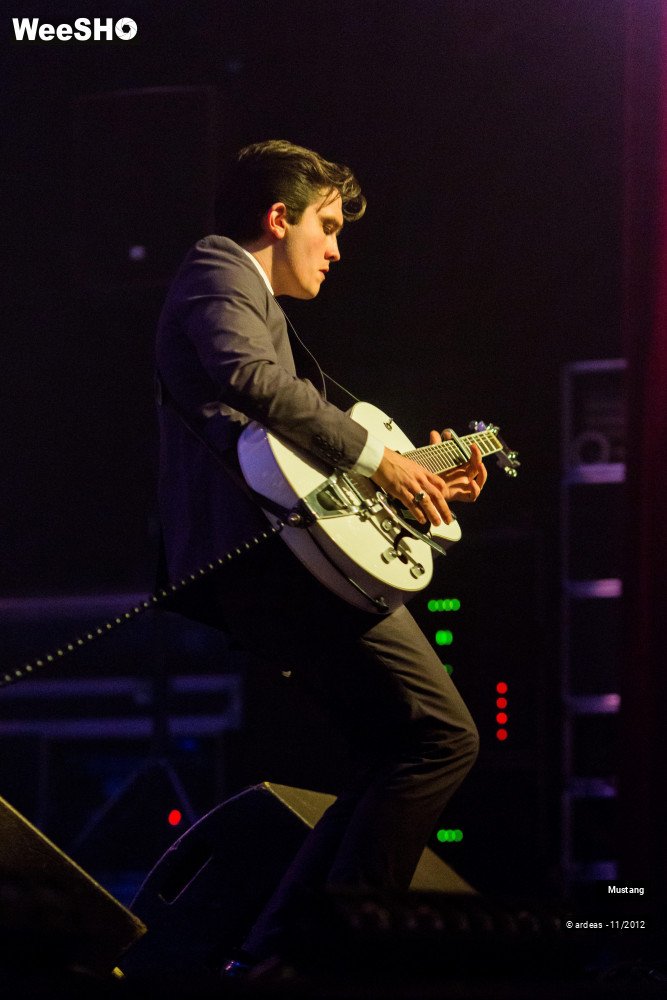 28/40 photos du spectacle Mustang