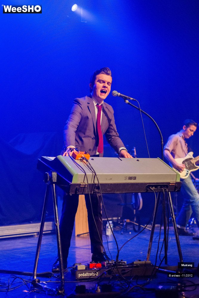 30/40 photos du spectacle Mustang