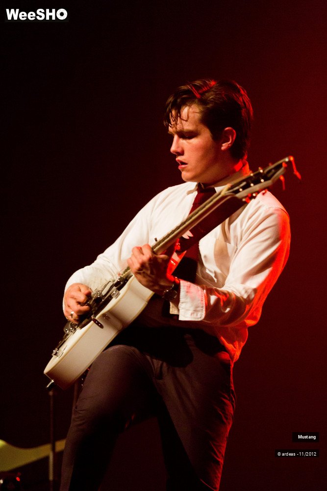 31/40 photos du spectacle Mustang