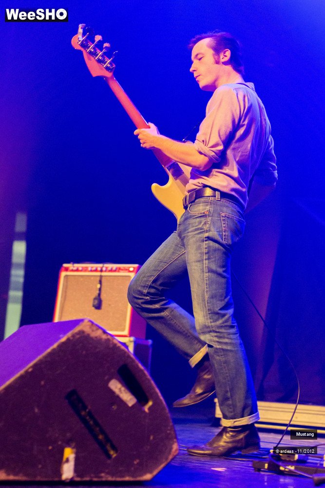 33/40 photos du spectacle Mustang