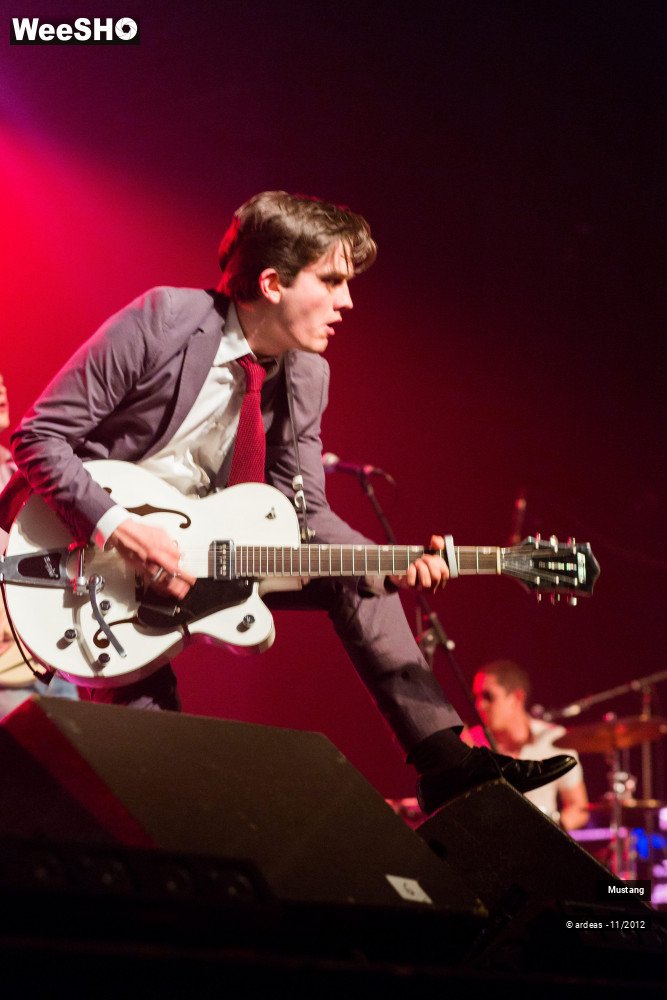 35/40 photos du spectacle Mustang