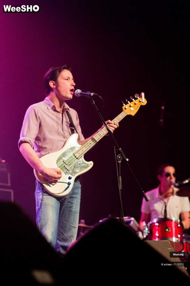 36/40 photos du spectacle Mustang