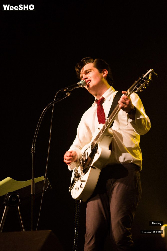 37/40 photos du spectacle Mustang