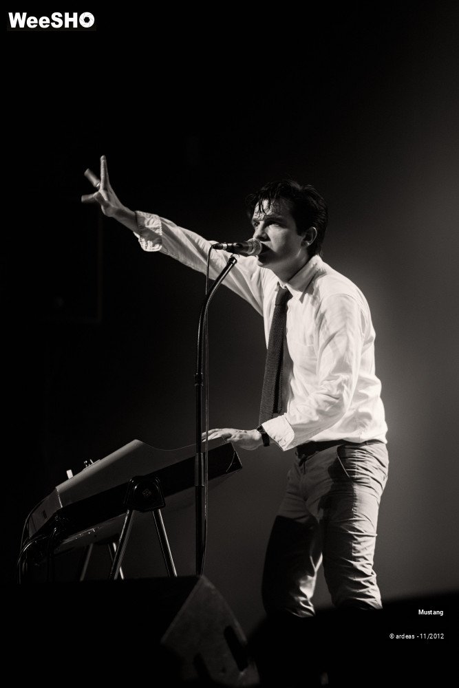 39/40 photos du spectacle Mustang