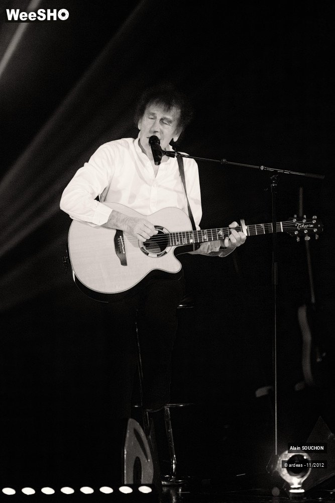 26/35 photos du spectacle Alain Souchon