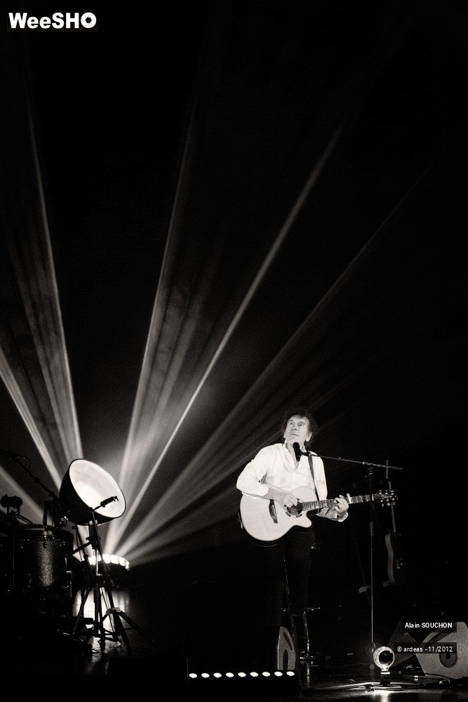 29/35 photos du spectacle Alain Souchon