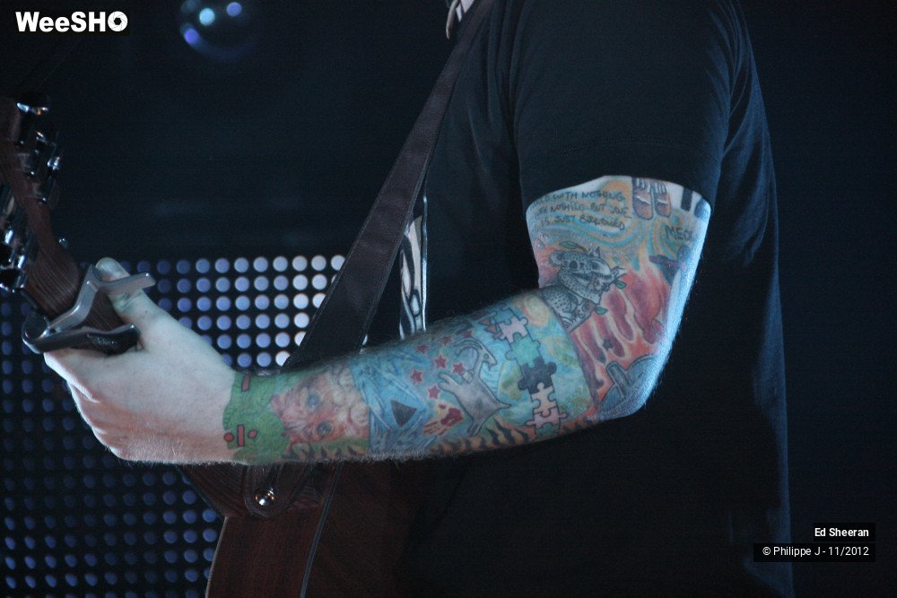 12/44 photos du spectacle Ed Sheeran