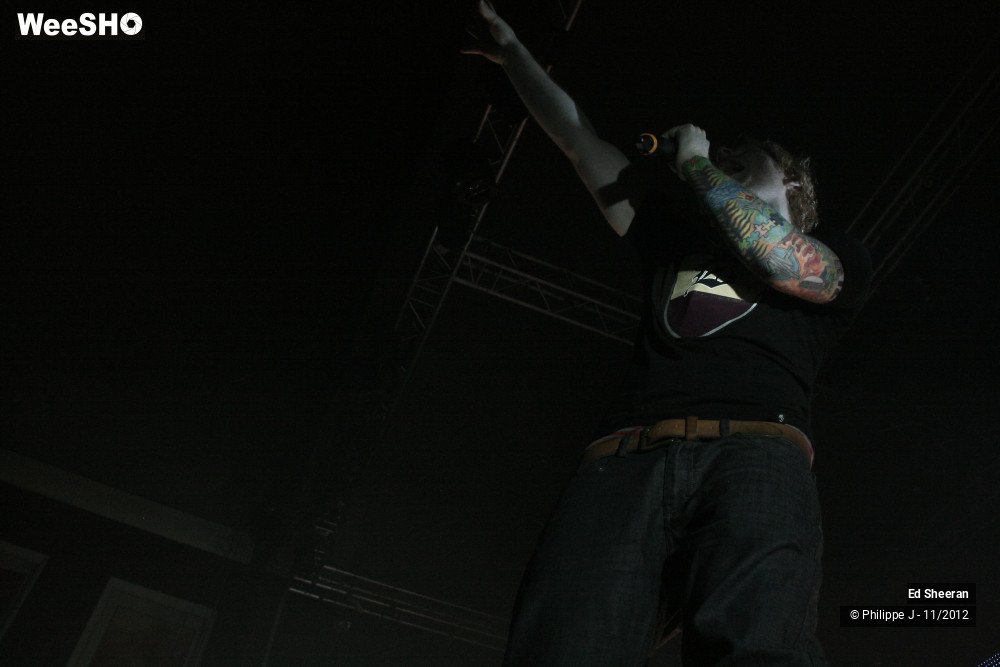 20/44 photos du spectacle Ed Sheeran