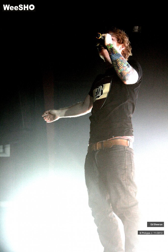 32/44 photos du spectacle Ed Sheeran