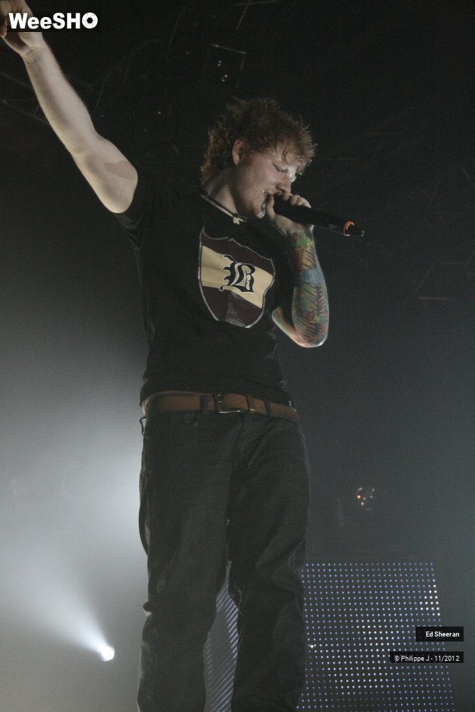 33/44 photos du spectacle Ed Sheeran
